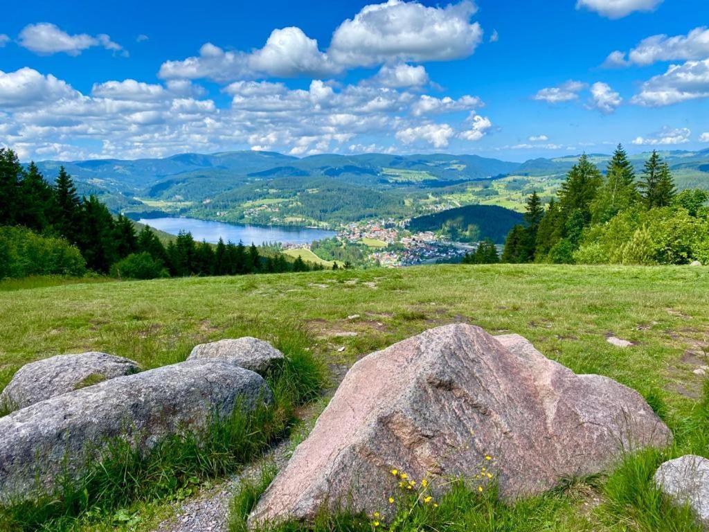 Gaestehaus Steiert Fewo Kuhbergblick Ленцкирх Екстериор снимка