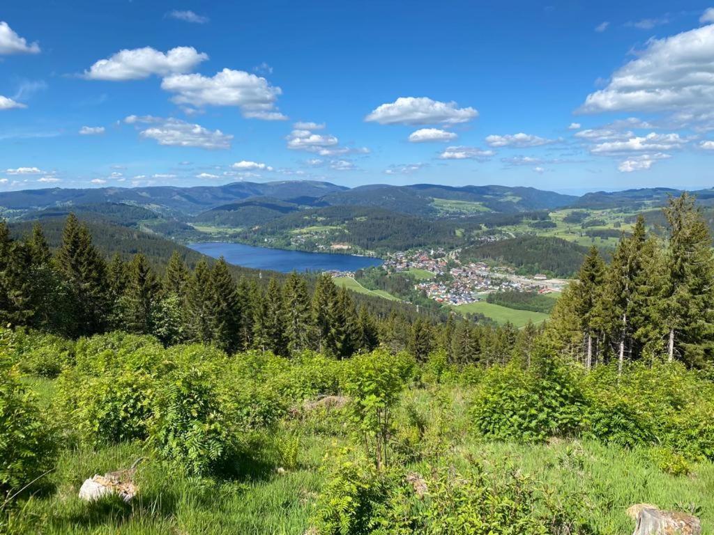 Gaestehaus Steiert Fewo Kuhbergblick Ленцкирх Екстериор снимка